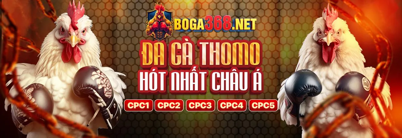 An toàn và hỗ trợ lc79b Win