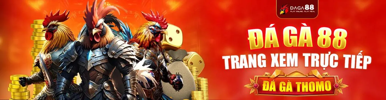 Trận đấu gà kịch tính tại lc79b win
